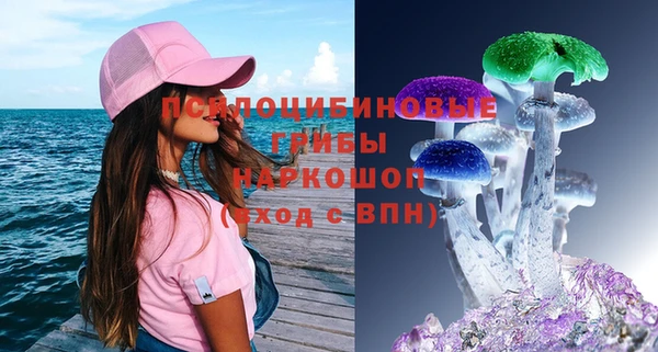 гашик Кукмор