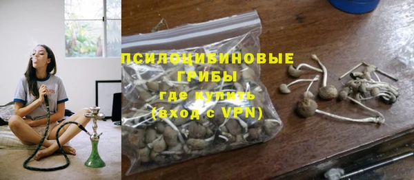 гашик Кукмор
